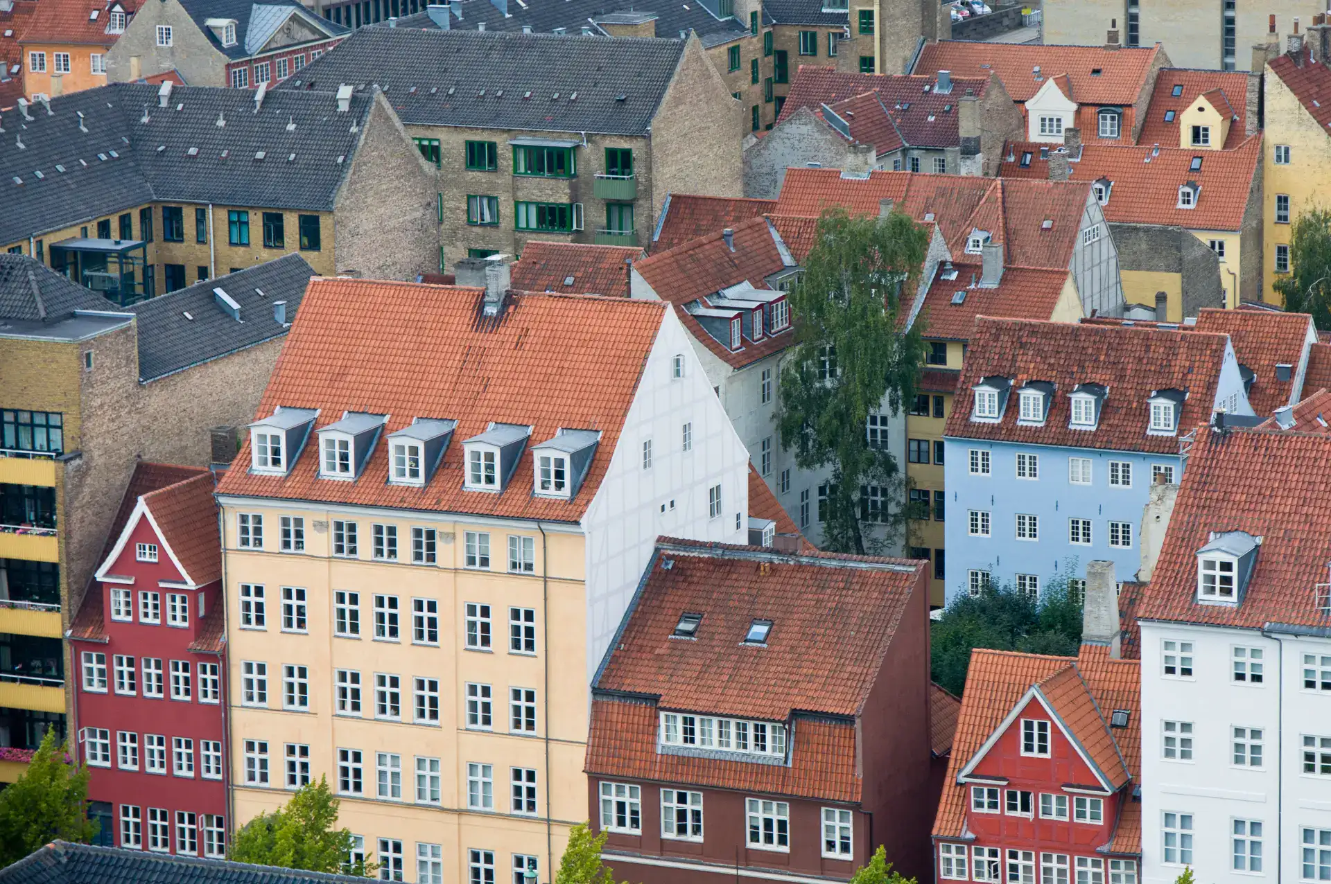 Flerfarvede traditionelle danske byhuse med røde tage.